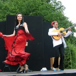 Salsa, Flamenco, Ballet, Musik und Comedy